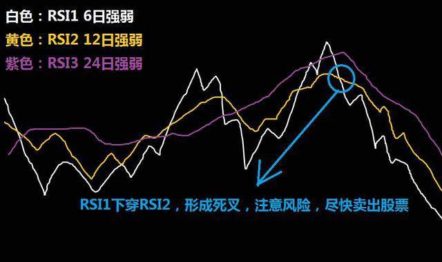 2025珠海马拉松12月7日回归 赛事报名即将启动