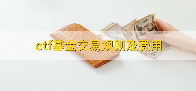 跑出经济发展加速度——访港南区委副书记、常务副区长张慧红